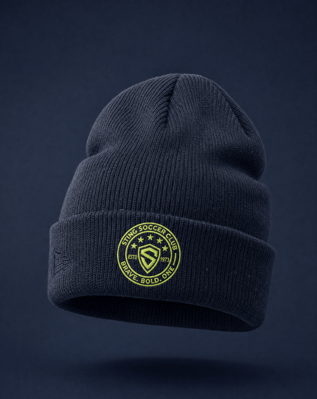 Sting | Hoodie + Beanie Bundle