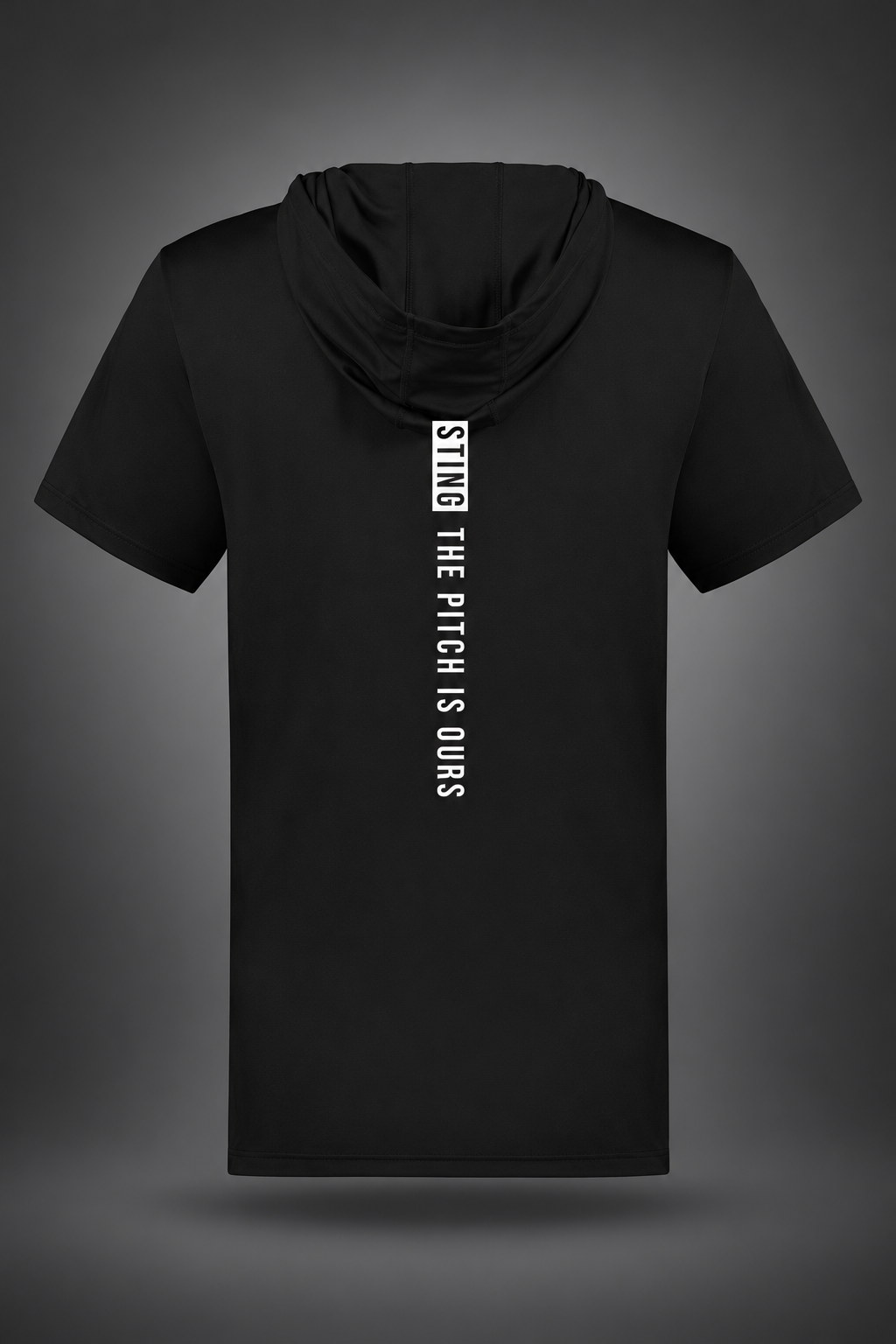 Sting SZN | Pitch Is Ours Coolcore Hoodie | Black – back view