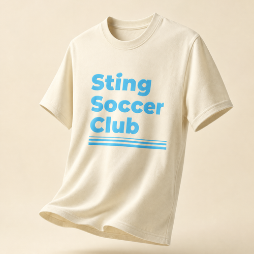 Sting Retro Collection | CC Women's Boxy Tee