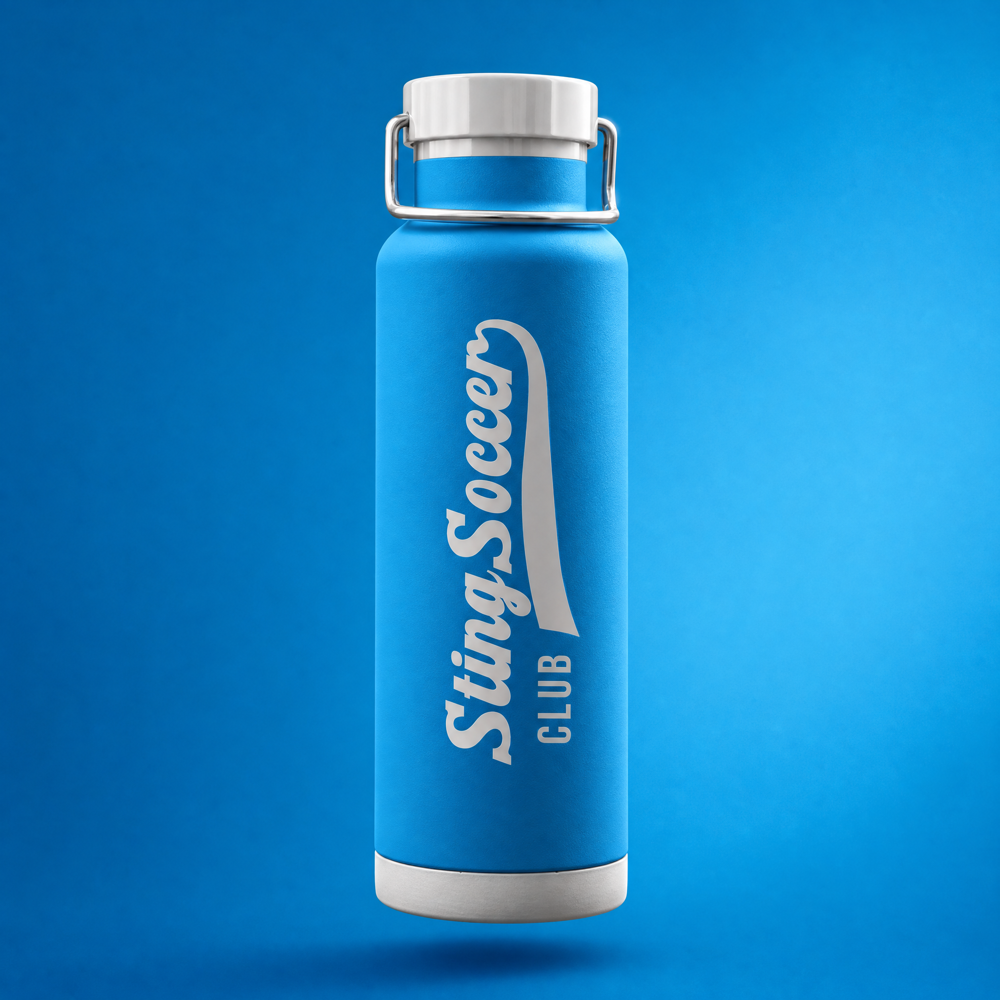 Sting | 22oz Copper Vacuum Insulated Bottle
