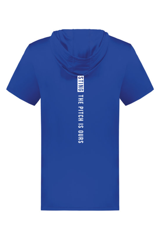 Sting SZN | Youth Pitch Is Ours Coolcore Hoodie